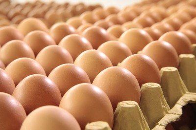 海南直辖鸡蛋检测价格,鸡蛋检测机构,鸡蛋检测项目,鸡蛋常规检测
